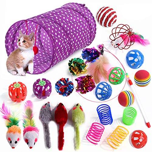 WQLP Juego de 25 Piezas para Gatos y Gatitos, túnel Plegable para Gatos de Interior, Juguetes de Plumas para Divertidos Palos de Gatos, Ratones de Peluche,Juego de Alivio del estrés para Gatitos