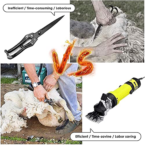 WSVULLD 850W Potente Poder eléctrico esquilla cortante cortacamochoso Lana Lana Oveja Corte Cabra Alpaca Mascota cortadora de Mascotas máquina de Granja, para ovejas Alpacas Llamas y Gran cantidad de