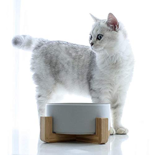 WUHUAROU Cuenco de cerámica para mascotas pequeño con vajilla de madera, postre, cuenco de cerámica pequeño para gatos y perros (gris)