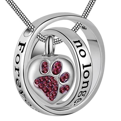WWQDFRT AZ Ya no a mi Lado for Siempre en mi corazón Monumento Memorial Memorial Ashes NewSake Colgante Collar Joyería T209 (Metal Color : Pet)