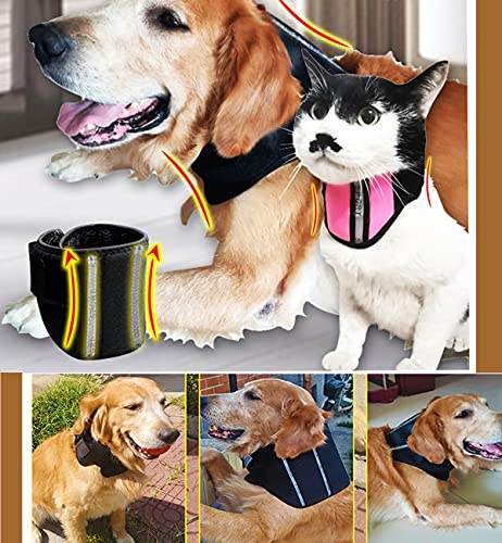 WXFEXIA Cuello cervical de mascota para alivio del dolor de perro y gato, envoltura canina protege heridas apoyo de curación debido a la artritis a lesiones, esguinces (L)