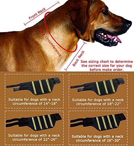 WXFEXIA Cuello cervical de mascota para alivio del dolor de perro y gato, envoltura canina protege heridas apoyo de curación debido a la artritis a lesiones, esguinces (L)