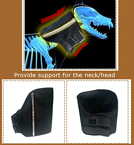 WXFEXIA Cuello cervical de mascota para alivio del dolor de perro y gato, envoltura canina protege heridas apoyo de curación debido a la artritis a lesiones, esguinces (L)
