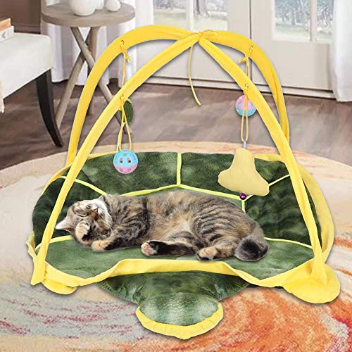 WYJW Centro de Actividades para Gatos Jaula para Gatos portátil Lona Plegable Ejercicio Tienda para Gatos Parque Infantil Jugar Fun House Juguete para Mascotas (Tortuga)