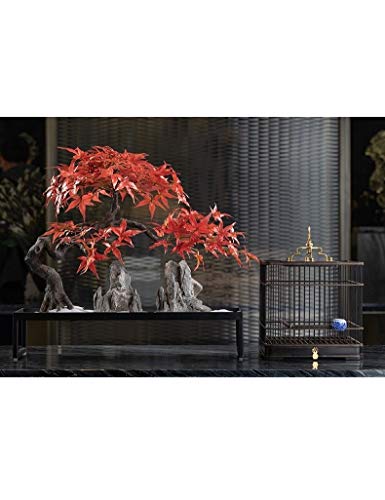 WYSTAO Plaza de la Jaula de pájaro, Chinesemetal Jaula de pájaro de Madera de sándalo, Sala de Modelo Vivo decoración de la habitación, Porche decoración, Regalo for los Padres (Color : A)