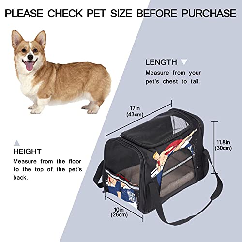 Xingruyun Transportín Perro Gato Luchador De Muay Thai Bolsa De Transporte Plegable para Mascotas Transpirable Portador De Viaje para Perro Y Gato 43x26x30 cm
