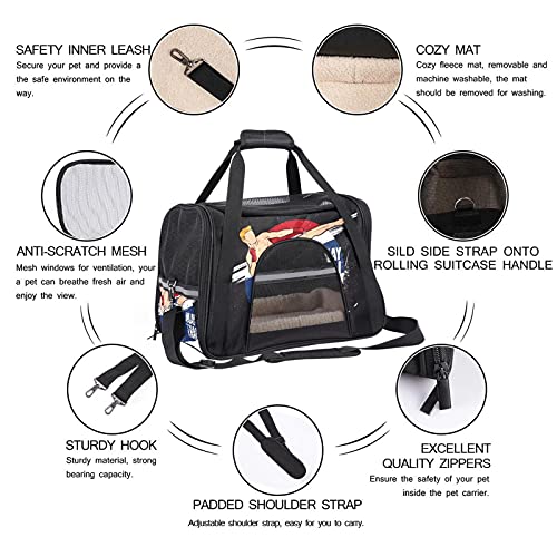 Xingruyun Transportín Perro Gato Luchador De Muay Thai Bolsa De Transporte Plegable para Mascotas Transpirable Portador De Viaje para Perro Y Gato 43x26x30 cm