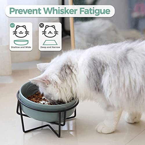 XKUN Cuenco Elevado para Perros Cerámica Levantada con Soporte De Metal, Alimentador De Mascotas Elevado Antideslizante, Alimentos Inclinados Y Tazón De Alimentación De Agua para Gato-Red