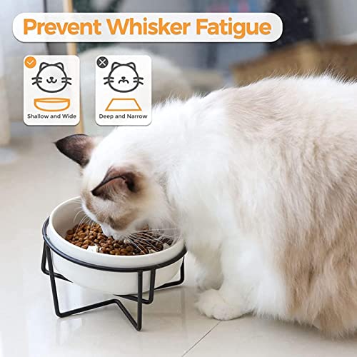 XKUN Cuenco Elevado para Perros Cerámica Levantada con Soporte De Metal, Alimentador De Mascotas Elevado Antideslizante, Alimentos Inclinados Y Tazón De Alimentación De Agua para Gato-Red