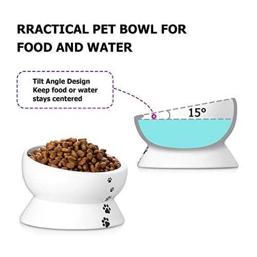 Y YHY Cuenco de cerámica para Gatos de 450 ml, Cuenco de cerámica Inclinado para Gatos, Cuenco Elevado de Porcelana de diseño Inclinado, Blanco