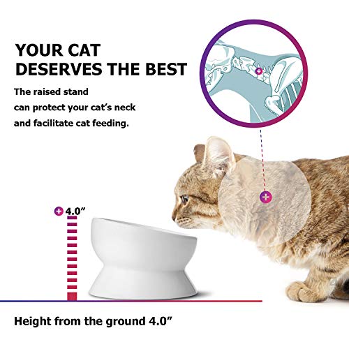 Y YHY Cuenco de cerámica para Gatos de 450 ml, Cuenco de cerámica Inclinado para Gatos, Cuenco Elevado de Porcelana de diseño Inclinado, Blanco