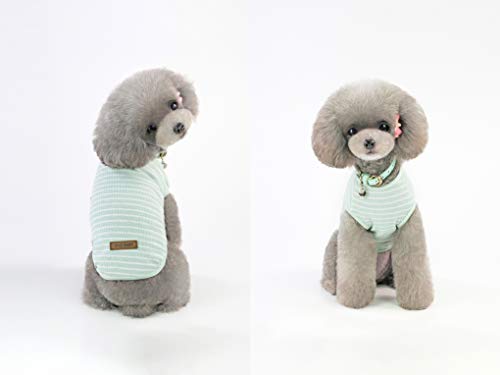 YAODHAOD Camiseta de algodón a rayas para perro, ropa de mascota para cachorro, camiseta transpirable elástica para perros pequeños y medianos (2 unidades) XL, Hellgrün + gris