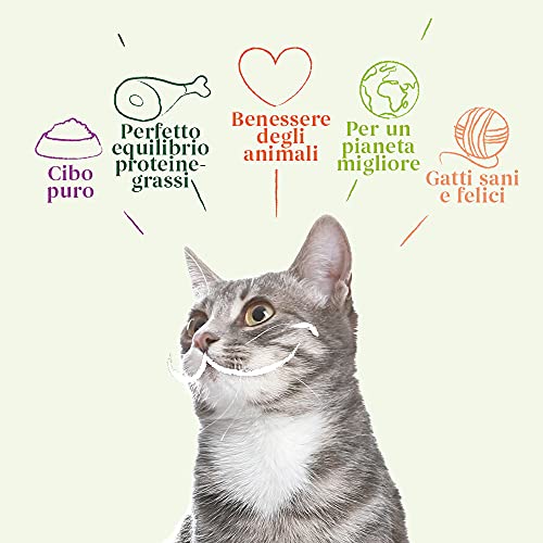 Yarrah Alimento Seco Biológico para Gatos Multipack Paté - 8 x 100gr - Pollo y Pavo - sin Cereales