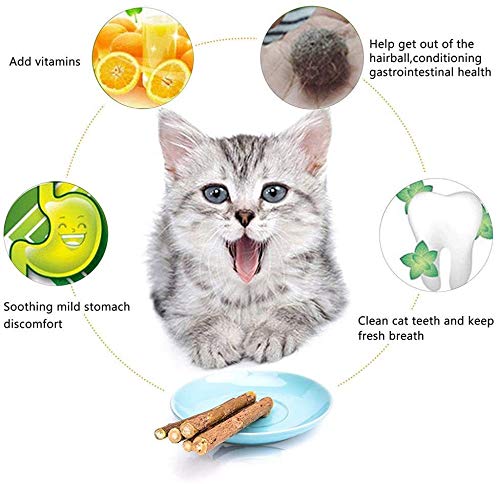 YIHAO Catnip Sticks 40 PCS Organic Cat Catnip Toys Natural Plant Matatabi Silver Vine Chew Sticks Cleaning Teeth Molar Tools Kitten Cat Chew Toy Natural Catnip