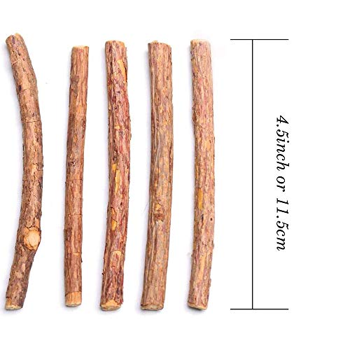 YIHAO Catnip Sticks 40 PCS Organic Cat Catnip Toys Natural Plant Matatabi Silver Vine Chew Sticks Cleaning Teeth Molar Tools Kitten Cat Chew Toy Natural Catnip