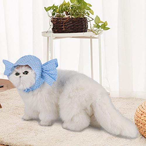 YongliJc Decoración de Cabeza de Gato, Tocado de Sombrero de Gato, Disfraz de Gato de Mezcla de algodón, Exquisito y cómodo, Adecuado para decoración de Vacaciones de Gato(Azul)
