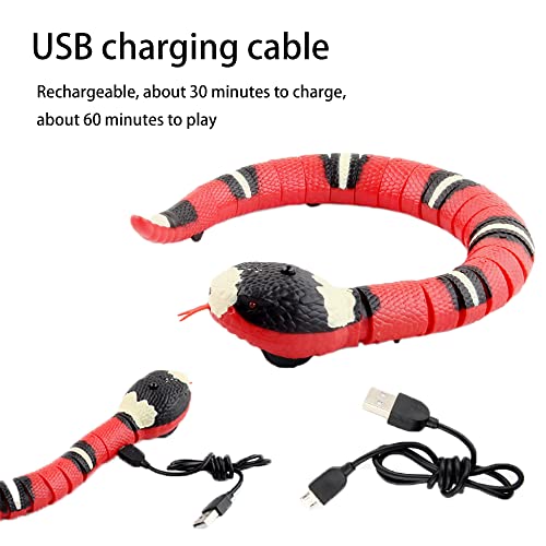 Yuanxianglong Juguete De Serpiente De Detección Inteligente, Juguete Inteligente para Gato con Forma De Serpiente, Juguete para Gatos Que Se Mueve para Jardín (Red)
