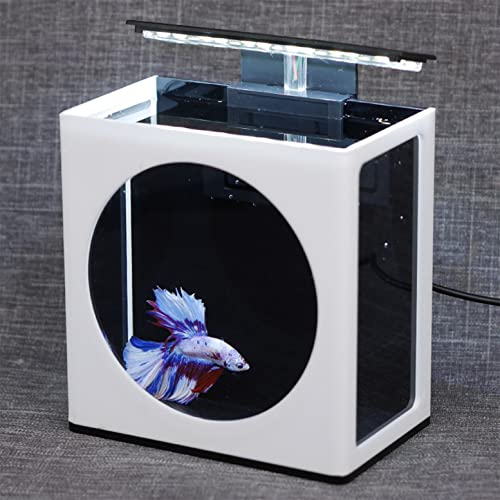 YYDSWTW Mini Acuario de Tanque de Pescado de Escritorio con LED Clip Light Semana Pantalla DE Pesca DE Pesca Oficina ECOLÓGICA Micro Tanque Ornamental PEQUETES DE Pescados