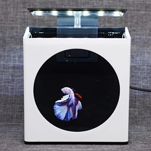 YYDSWTW Mini Acuario de Tanque de Pescado de Escritorio con LED Clip Light Semana Pantalla DE Pesca DE Pesca Oficina ECOLÓGICA Micro Tanque Ornamental PEQUETES DE Pescados
