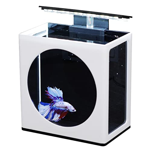 YYDSWTW Mini Acuario de Tanque de Pescado de Escritorio con LED Clip Light Semana Pantalla DE Pesca DE Pesca Oficina ECOLÓGICA Micro Tanque Ornamental PEQUETES DE Pescados