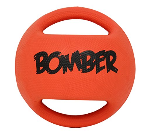 Zeus Bomber Ball para Perro