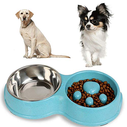 ZHHOOHAG Comedero Perro Fácil Limpieza Antideslizante impedir obesidad Perros Gatos casero alimentador de Acero a Prueba de Fugas Anti Lento Asfixia Mascota portátil Comedero Gato (Color : Green)