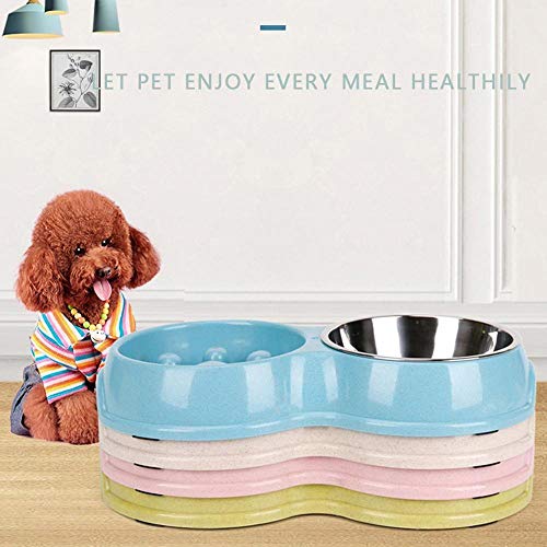 ZHHOOHAG Comedero Perro Fácil Limpieza Antideslizante impedir obesidad Perros Gatos casero alimentador de Acero a Prueba de Fugas Anti Lento Asfixia Mascota portátil Comedero Gato (Color : Green)