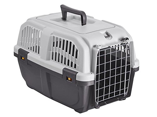 Zoofari Transportín para gatos y perros pequeños, de plástico