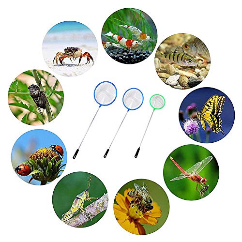 ZUOLUO Accesorios Acuarios y Peceras Salabre Pesca Mantener Las Redes de Pesca Decoraciones y Accesorios para peceras Limpiador de Vidrio para pecera s,10pcs