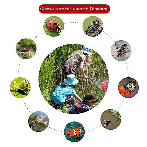 ZUOLUO Accesorios Acuarios y Peceras Salabre Pesca Mantener Las Redes de Pesca Decoraciones y Accesorios para peceras Limpiador de Vidrio para pecera s,10pcs