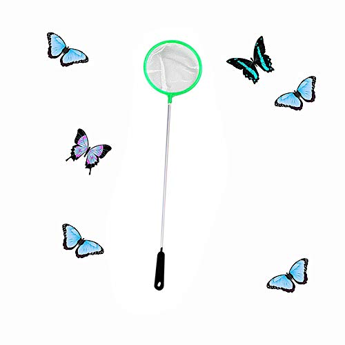 ZUOLUO Accesorios Acuarios y Peceras Salabre Pesca Mantener Las Redes de Pesca Decoraciones y Accesorios para peceras Limpiador de Vidrio para pecera s,10pcs