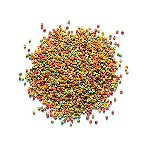 Zupreem - Alimento para Aves Muy Pequeñas FruitBlend | Pienso Canarios y Pinzones (200 g)