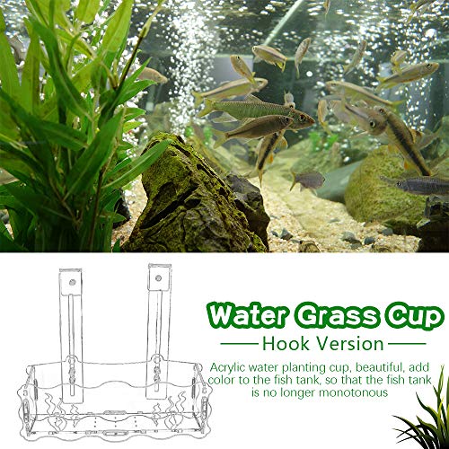 ZZM Plantador de Colgador de Acuario, Tanque de Peces Plantas de Agua Copa de siembra Semillas de Agua de acrílico Transparente Adorno de plantación de Hierba Ornamento Maceta Decoración del hogar