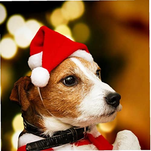 1 Unid Gato Navidad Santa Sombrero Navidad Headwear Puppy Kitten Cosplay Disfraz Accesorios para Pequeño Pet Cat Dog