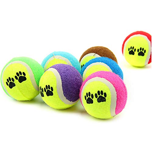 1 UNID Pet Dog Cat Toy Toy Pinturas Pelotas de Tenis Run Throw Play Play Funny Chew Mascotas Juguetes Levert Color Aleatorio