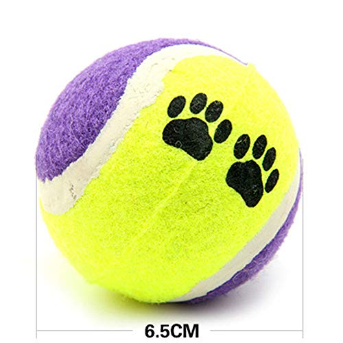 1 UNID Pet Dog Cat Toy Toy Pinturas Pelotas de Tenis Run Throw Play Play Funny Chew Mascotas Juguetes Levert Color Aleatorio