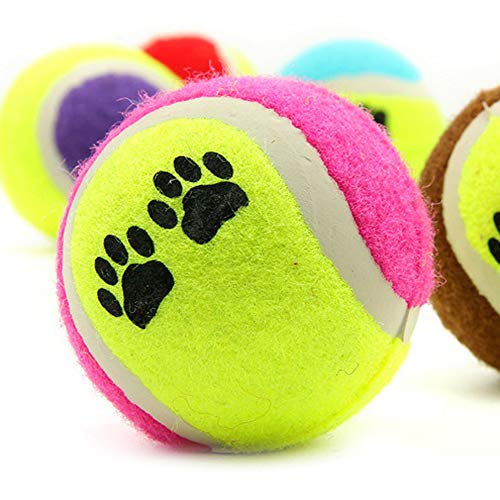 1 UNID Pet Dog Cat Toy Toy Pinturas Pelotas de Tenis Run Throw Play Play Funny Chew Mascotas Juguetes Levert Color Aleatorio