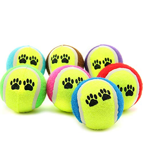 1 UNID Pet Dog Cat Toy Toy Pinturas Pelotas de Tenis Run Throw Play Play Funny Chew Mascotas Juguetes Levert Color Aleatorio
