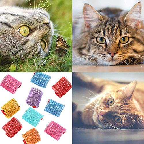 10 pcs Juguete Colorido del Gato Primavera Muelles en Espiral de Plástico para Gato Gatito Mascotas Novedad Regalo