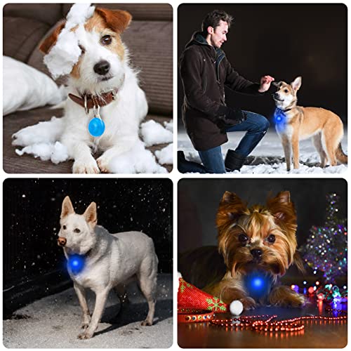 2 Collar LED Perro, Luz Collar Luminoso Perro, Pet Cat Dog Collar Light Luces de Seguridad Luminoso Impermeable para Mascotas por Caminar por la Noche con 3 modos intermitentes, Azul
