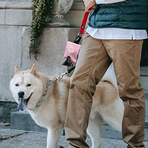 2 Colores Dispensador de Bolsas de Basura para Mascotas, Soporte Portátil para Bolsa de Caca para Perros, Contenedor de Bolsas de Basura para Perros con Clip de Metal (Rosa, Rojo Rosa)