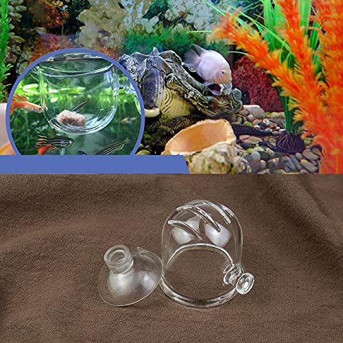2 comederos de gusanos rojos pequeños para acuario, 1 mm, para salmuera, camarones, cristal y vaso de alimentación para plantas con ventosas, transparente