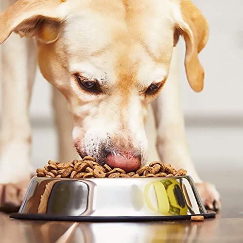 2 Pcs Cuenco para Perros de Acero Inoxidable con Fondo Goma Antideslizante Cuenco Comida para Perros Pequeño Medio Grande Mascota Perro Gato Alimentar