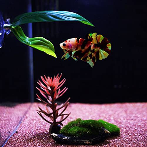 2 Piezas Camas de Betta Pequeñas Plantas Plástico Acuario Planta Acuario Pequeñas Plantas Plástico Plantas Artificiales Pecera Acuario Plantas Acuáticas Accesorios Acuario Plantas Artificiales Verde