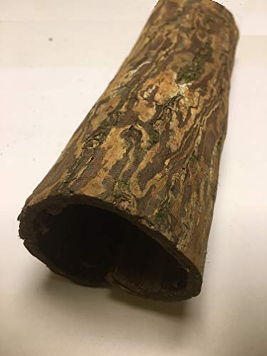 2 tubos de corteza de almendro indio (3-4 cm de diámetro x 10-12 cm)
