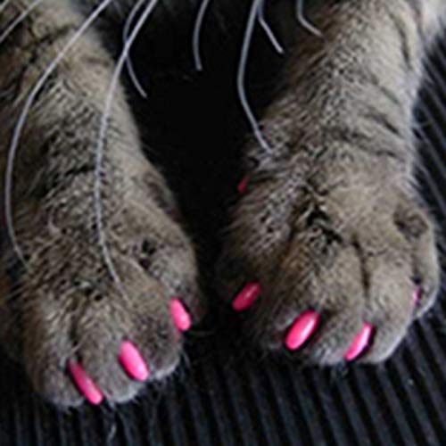20pcs Pet Nail Caps/Tips, Pet Cats GKitten Anti-Scratch Grooming Uñas Patas Garra Cap Protector - Peach Red XS