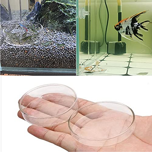 3 piezas acuario camarones fuente de alimentación de pescado cuenco redondo acrílico transparente fuente de alimentación para camarones alimentos o peces Tubifex gusanos