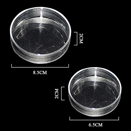 3 piezas acuario camarones fuente de alimentación de pescado cuenco redondo acrílico transparente fuente de alimentación para camarones alimentos o peces Tubifex gusanos