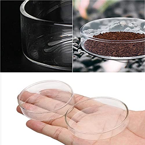 3 piezas acuario camarones fuente de alimentación de pescado cuenco redondo acrílico transparente fuente de alimentación para camarones alimentos o peces Tubifex gusanos