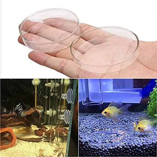 3 piezas acuario camarones fuente de alimentación de pescado cuenco redondo acrílico transparente fuente de alimentación para camarones alimentos o peces Tubifex gusanos
